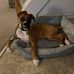 Sharon Reese Ranger - Facebook