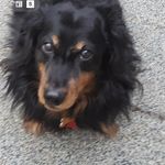 Sharon Ratcliff - @ratcliff9385 - Instagram