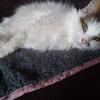 Sharon Ratcliffe - @sharon.ratcliffe5 - TikTok