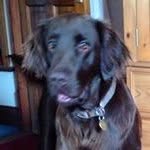 Sharon Ratcliffe - @shan_ratcliffe - Instagram