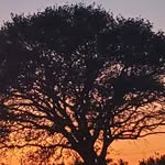 Sharon Ratcliffe Gjeltema - @ksg373 - Instagram