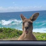 Sharon J Rawlinson - @rawlinson3004 - Instagram