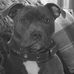Sharon Rawlinson - Facebook