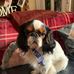 Sharon Rawlinson - Facebook