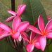 Sharon Rawlinson - Facebook