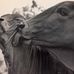 Sharyn Rawlinson - Facebook