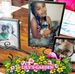 Sharon Reamer - Facebook