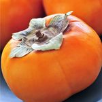 worldrecordsharonfruit - @worldrecordsharonfruit - Instagram