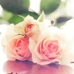 Sharon reddy - @sharon_reddy_maruprolu - Instagram