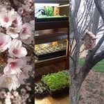 Sharon Redding - @sredding60 - Instagram