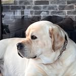 Sharon Redding - @redding1655 - Instagram
