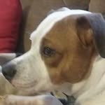 Sharon Redding - @sharon.redding.9 - Instagram