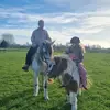 shaza - @sharonredding46 - TikTok