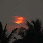 sharon Reddy - @sharonreddy11 - Instagram
