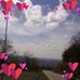 Sharon Elaine Redman - Facebook