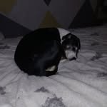 Sharon Rees - @sharon.rees.cleaver - Instagram