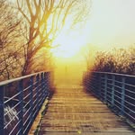 Sharon Rees - @sharonrees4 - Instagram