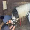 Sharon Rees - @sharon.rees4 - TikTok