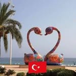 Sharon Rees-gwilliam - @reesgwilliamremaxbeachhomes - Instagram