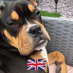 Sharon Reeve - @reeve1058 - Instagram