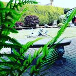 Sharon Reeve - @sreeve1961 - Instagram