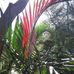 Sharon Reeve - Facebook