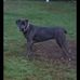 Sharon Reis - Facebook