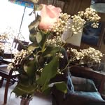 Sharon Reno - @mars13_8 - Instagram