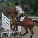 Sharon Rexford - @s0r6r76 - Instagram