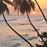 Sharon Croucher Riddell - @sharonriddell5604s - Instagram