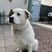 Sharon Riddell - Facebook