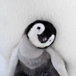 Sharon Jones Ridings - @ridingssharon - Instagram