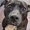 sharon.rigby0 - @sharon.rigby0 - TikTok