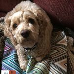 Sharon Sedlar Rinker - @sharonrinker - Instagram