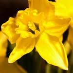 @sharon_roach - Instagram