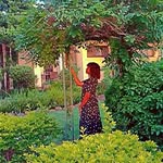 Sharon Roberts - @gardeningwithshaz - Instagram