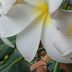 Sharon Roberts - Facebook