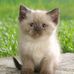 Sharon Roberts - Facebook