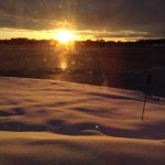Sharon Rohde - @srohde413 - Instagram