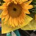 Sharon Roland - Facebook