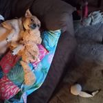 Sharon Roland - @sharonroland - Instagram