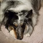 Sharon Y. Roope - @sharonroope - Instagram