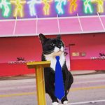 Sharon Roseberry - @foxlesworthmulder - Instagram