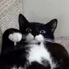 Sharon - @sharonroseberry5 - TikTok