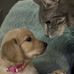 Sharon Rosinski West - Facebook