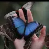 Sharon Rossi - @sharon.rossi25 - TikTok