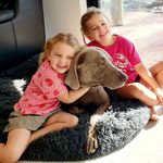 Sharon Rowlands - @sharon.rowlands - Instagram