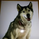 sharon rowlands - @sharonanddakota16 - Instagram