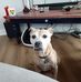 Sharon Rubino - Facebook