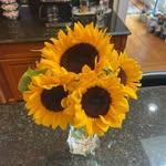 Sharon Rubinowitz - @sharonrubinowitz - Instagram